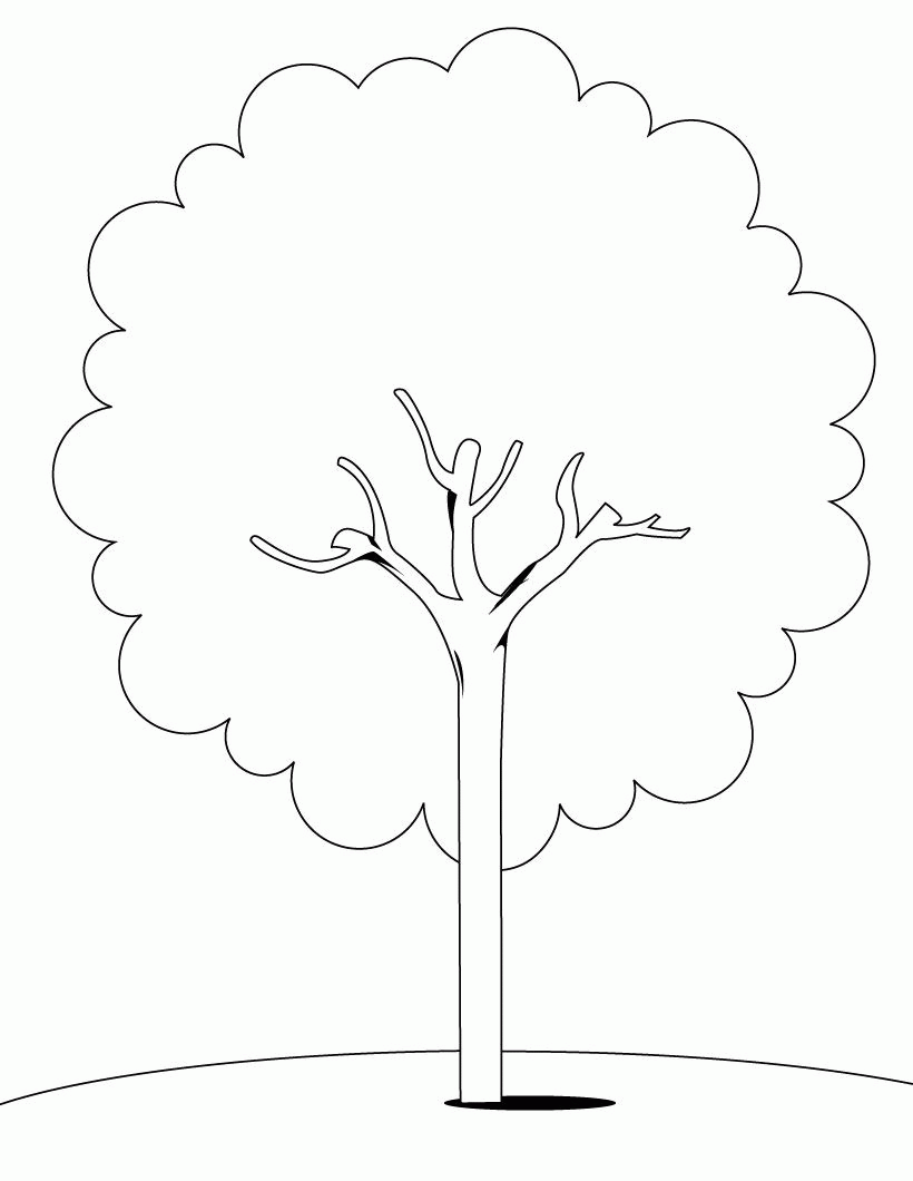 Tree Coloring pages for Kids to Print Free and Paint