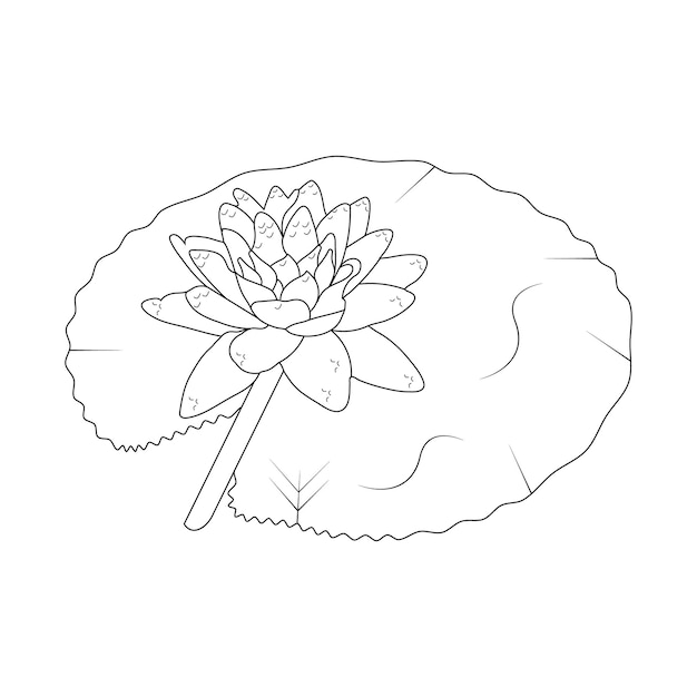 Premium Vector | Water lily coloring page and line art flower sketch with  flower vector illustration