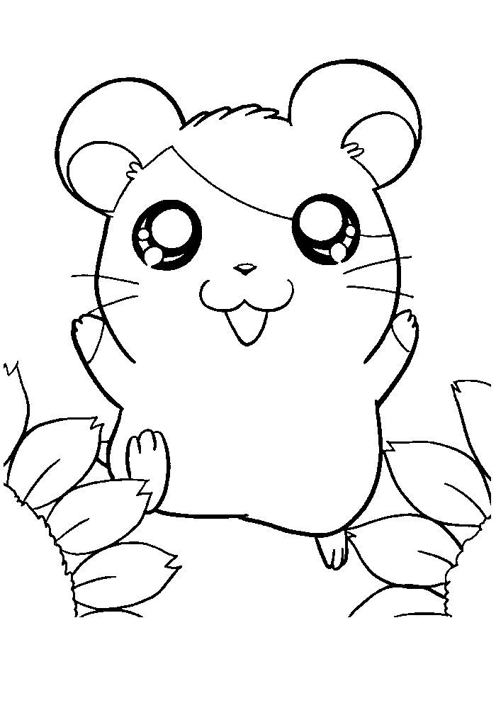 Cute Hamster Coloring Pages | Animal coloring pages, Coloring pages, Cute  coloring pages