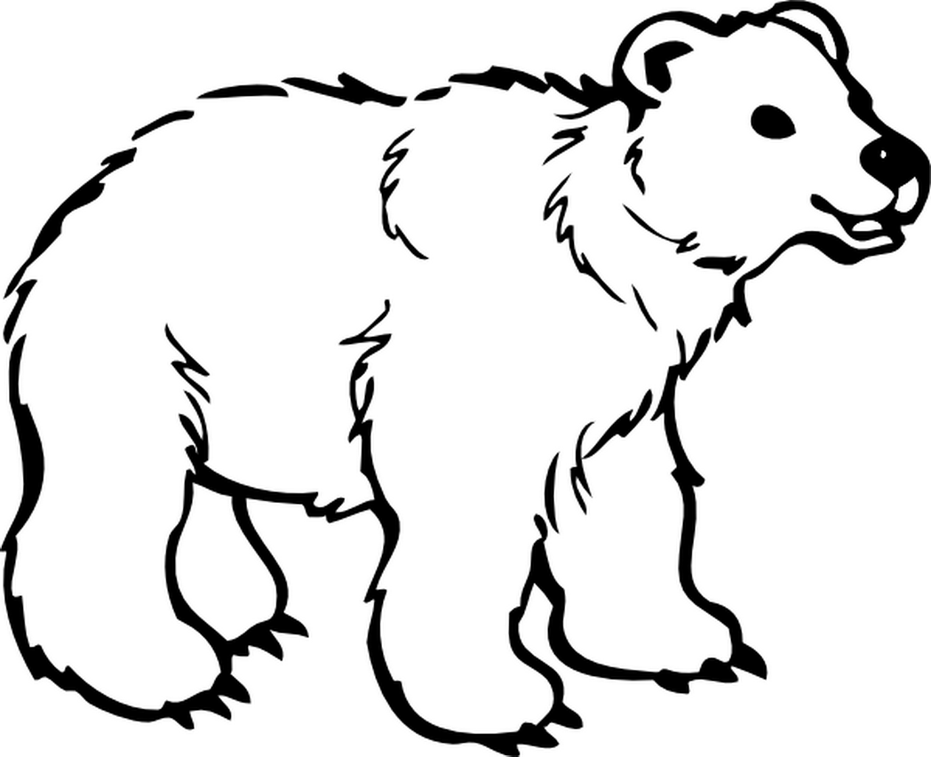 Black Bear Coloring Pages To Print - Coloring Pages For All Ages