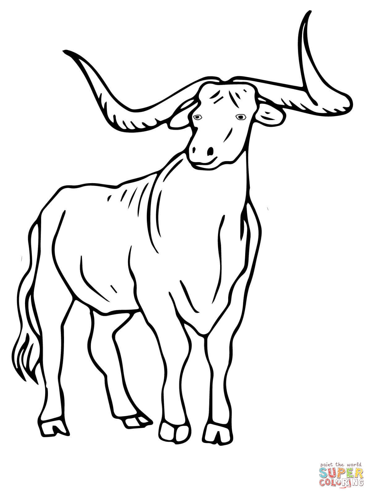 Texas Longhorn coloring page | Free Printable Coloring Pages