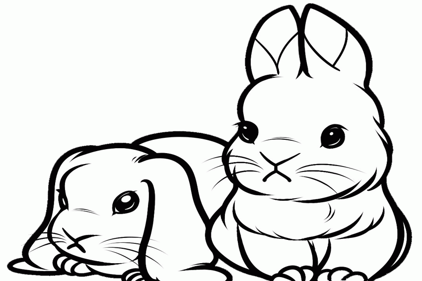 Cute Rabbit Coloring Page - Coloring Home