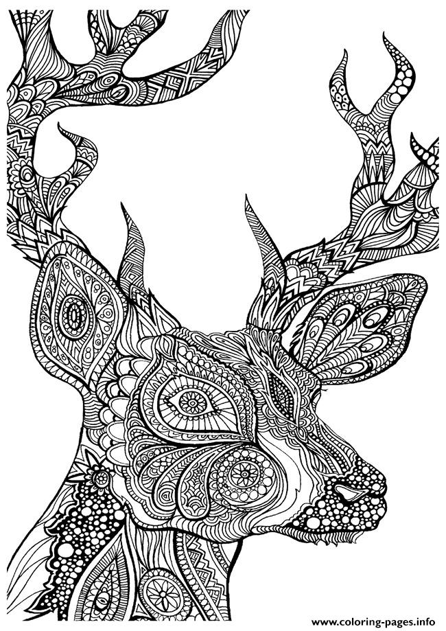 adult coloring pages turtle  coloring home