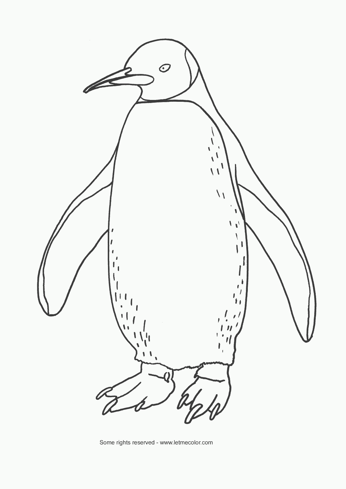Emperor Penguin Coloring Pages   Coloring Home