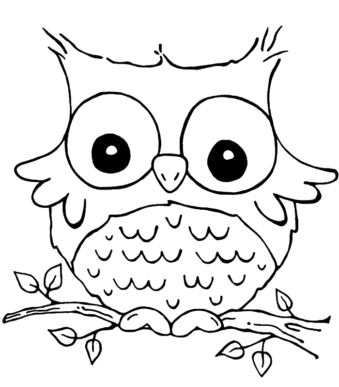 Owl coloring picture | www.veupropia.org