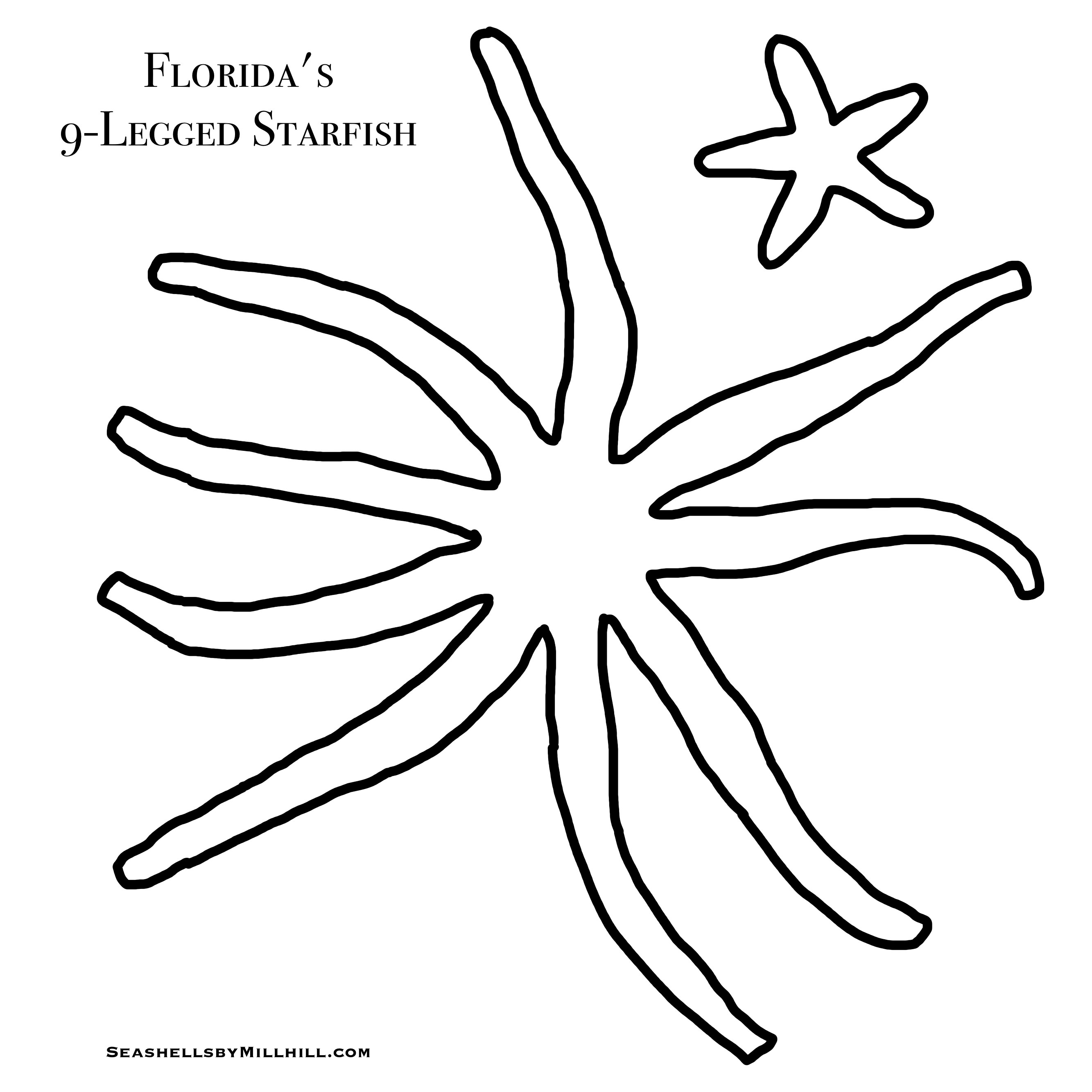 Seashells by MillhillStarfish, or Sea Stars, Coloring Page Printout