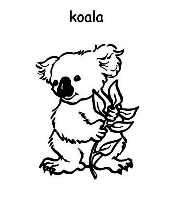 Cute Koala on Australia Day Coloring Page: Cute Koala on Australia ...