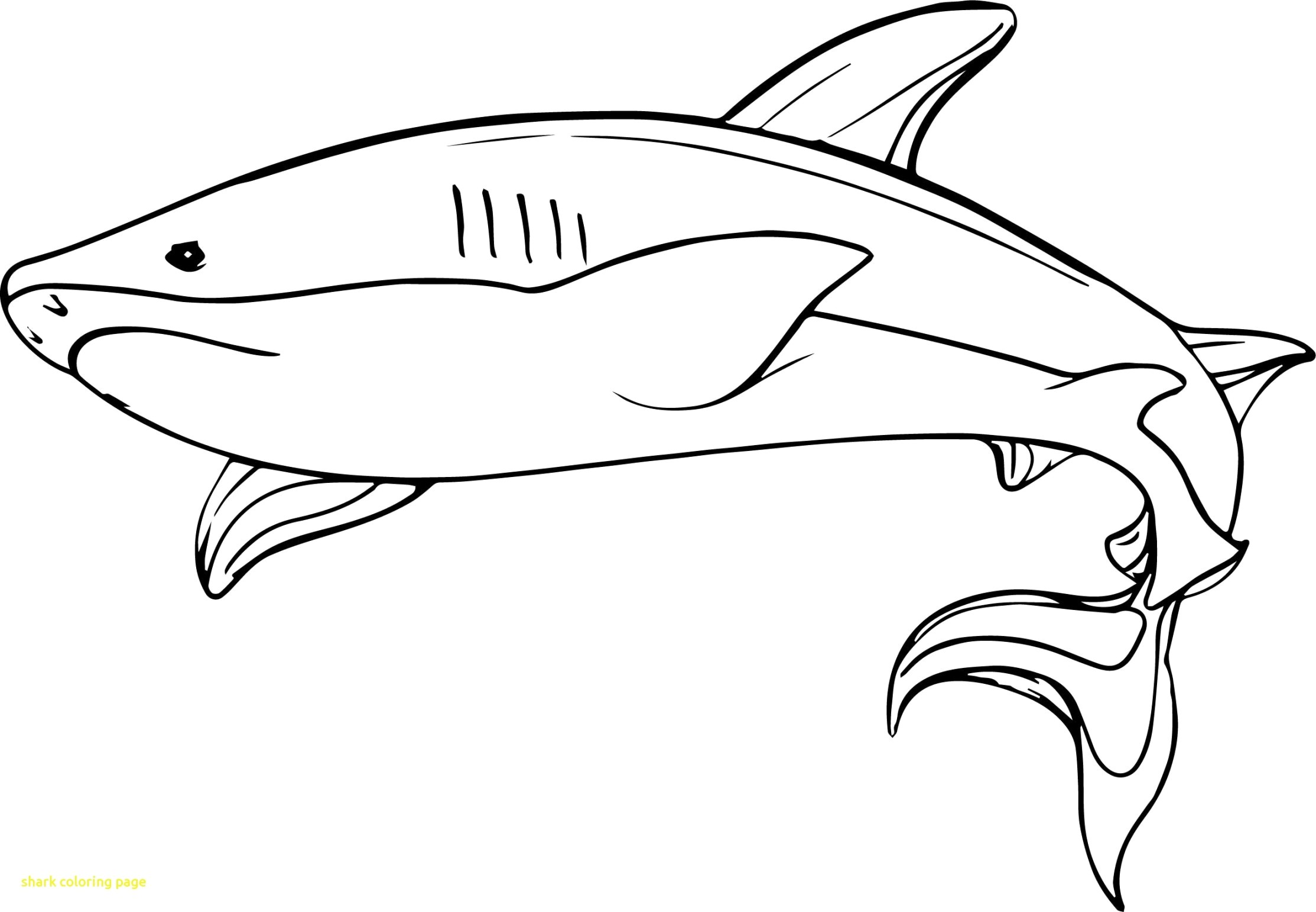 Coloring Pages : Baby Shark Coloring Pages Collections Of ...