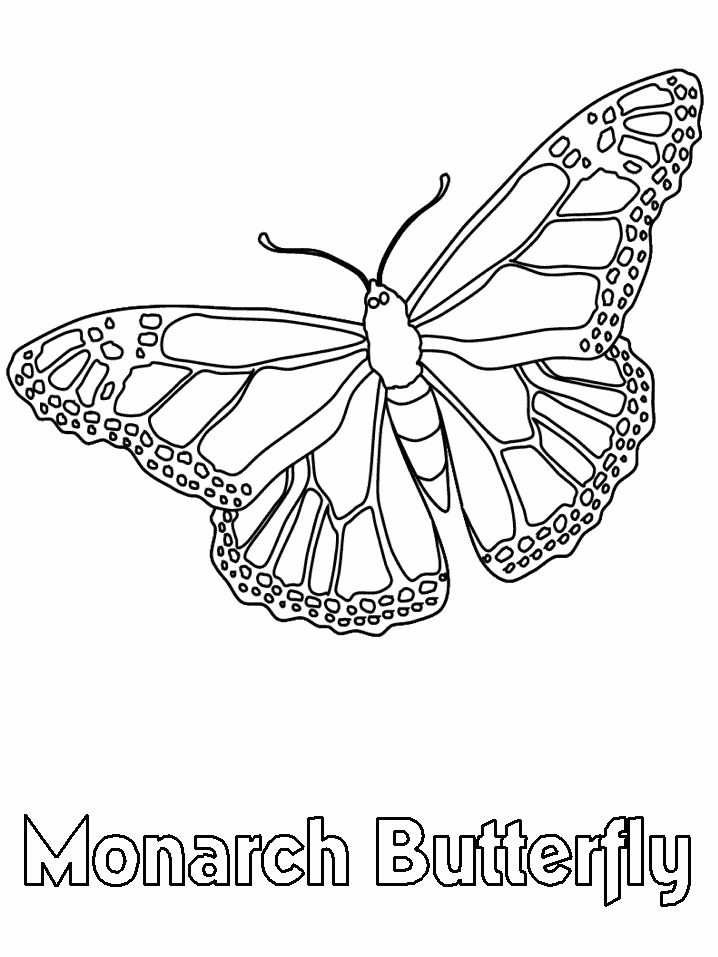 Printable Monarch Butterfly Coloring Pages