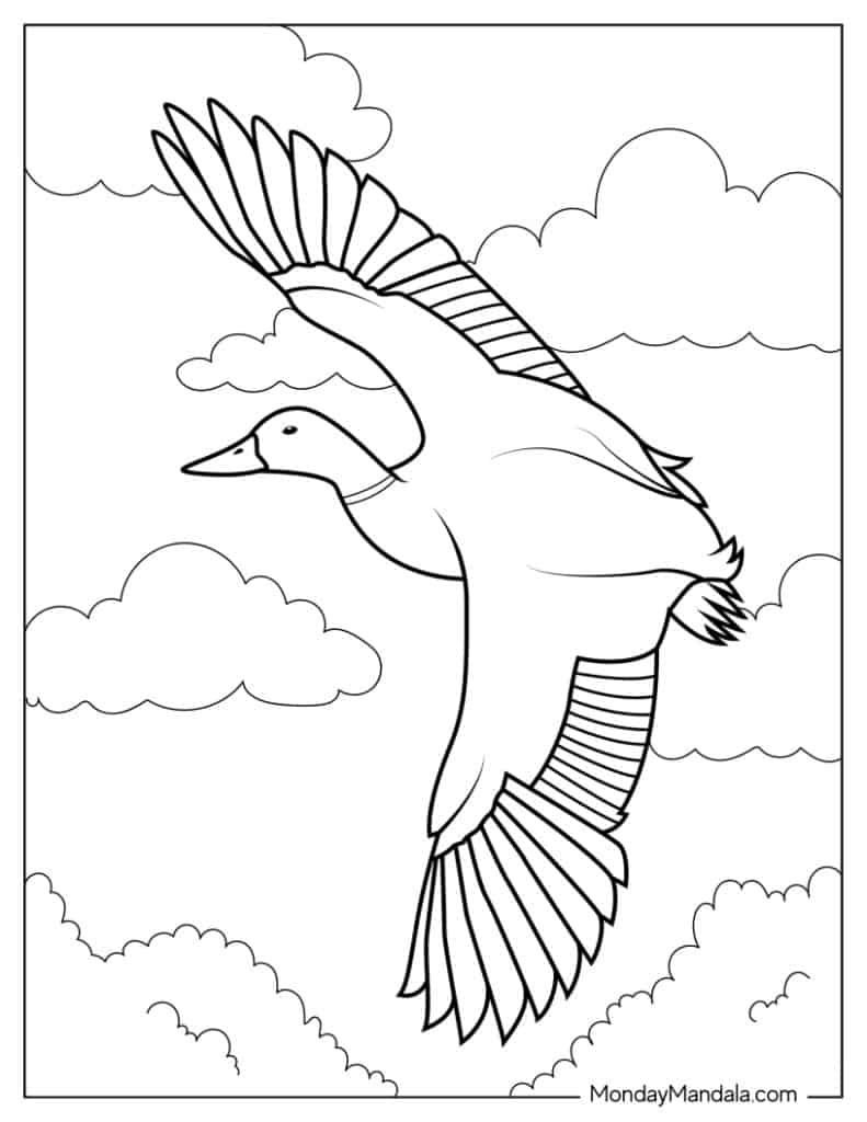 28 Cute Duck Coloring Pages (Free PDF ...