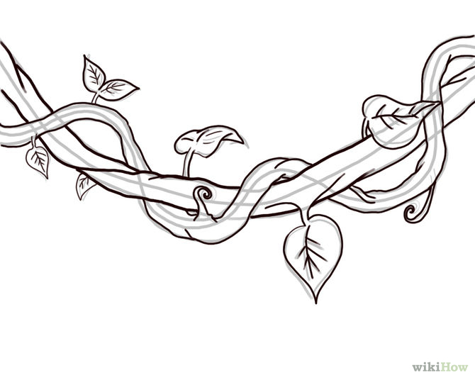vines-coloring-pages-coloring-home