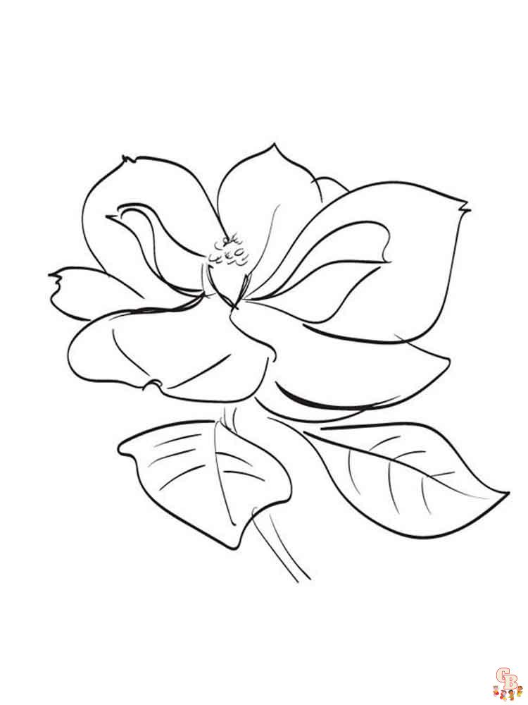 Magnolia Coloring Pages - Printable, Free & Easy - GBcoloring