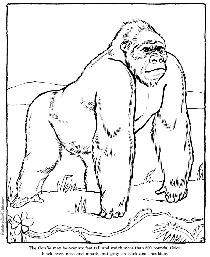 Circus Gorilla Coloring Page - Coloring Pages For All Ages
