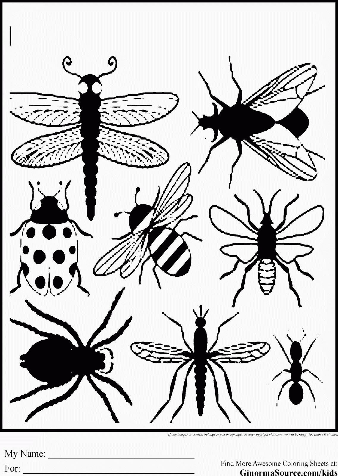 New Insect Coloring Sheets Free Coloring Sheet   Widetheme ...