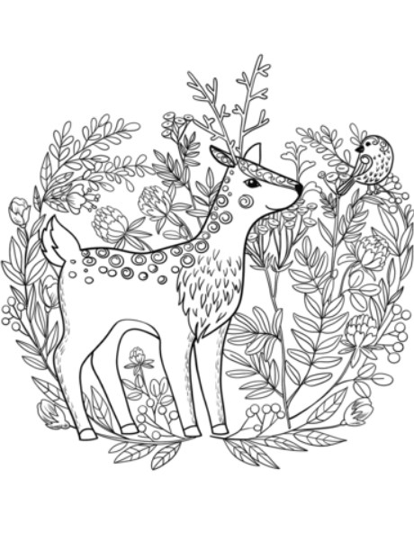Cartoon Deer Coloring Pages | Coloring Page To Print