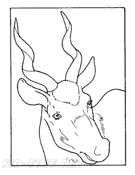 Gazelle Coloring Book Page | Free Coloring Book Pages Printables