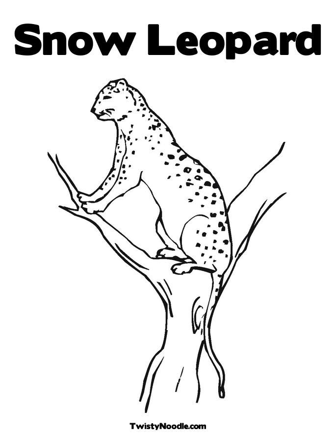 LEOPARD COLORING BOOK Â« Free Coloring Pages