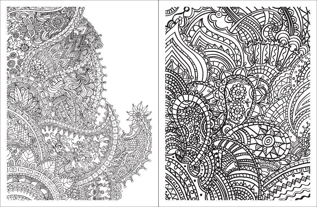 Posh Adult Coloring Book: Paisley Designs for Fun & Relaxation
