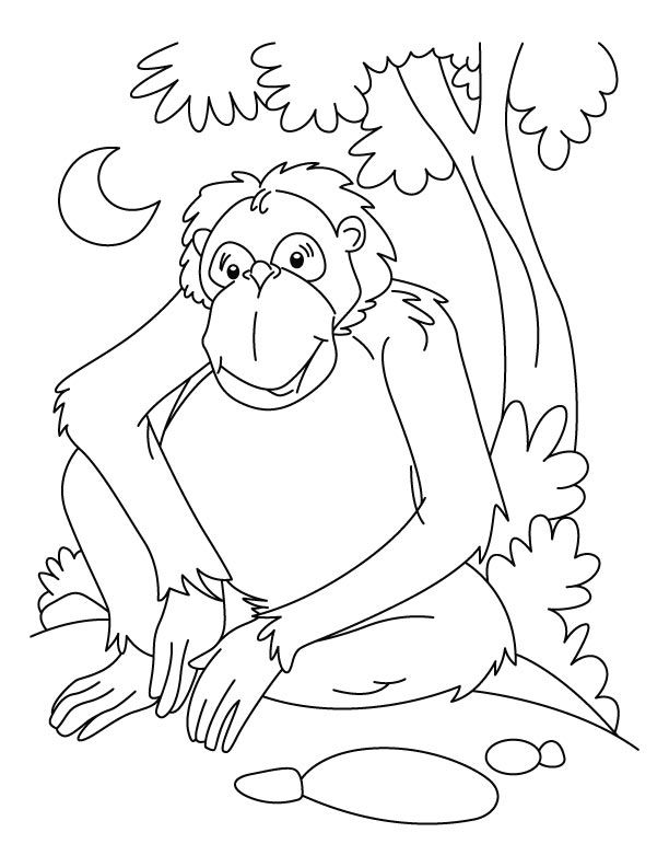 Chimpanzee waiting coloring page | Download Free Chimpanzee 