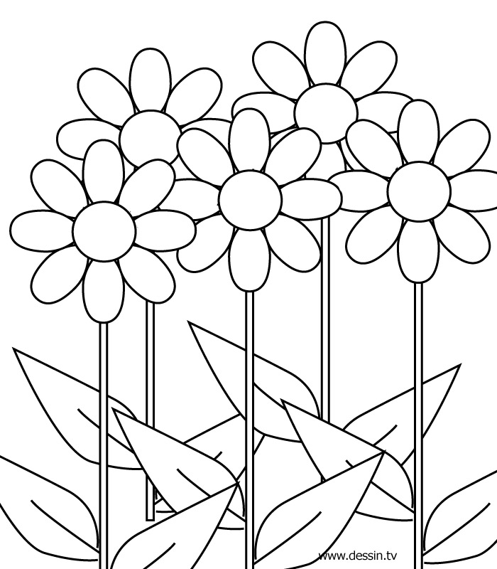 Drawing Flowers #154997 (Nature) – Printable coloring pages