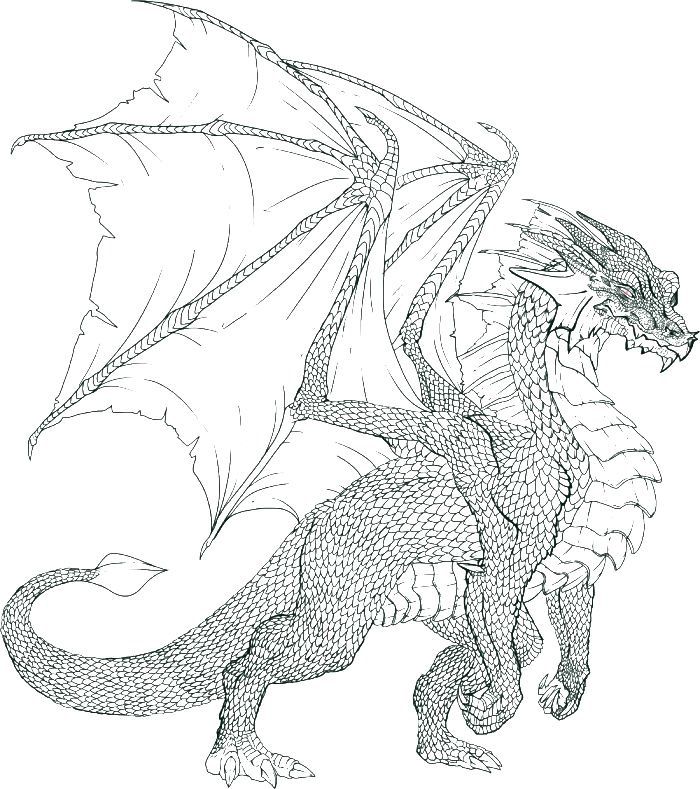Dragon Coloring Pages Printable | Dragon coloring page, Realistic dragon, Coloring  pages
