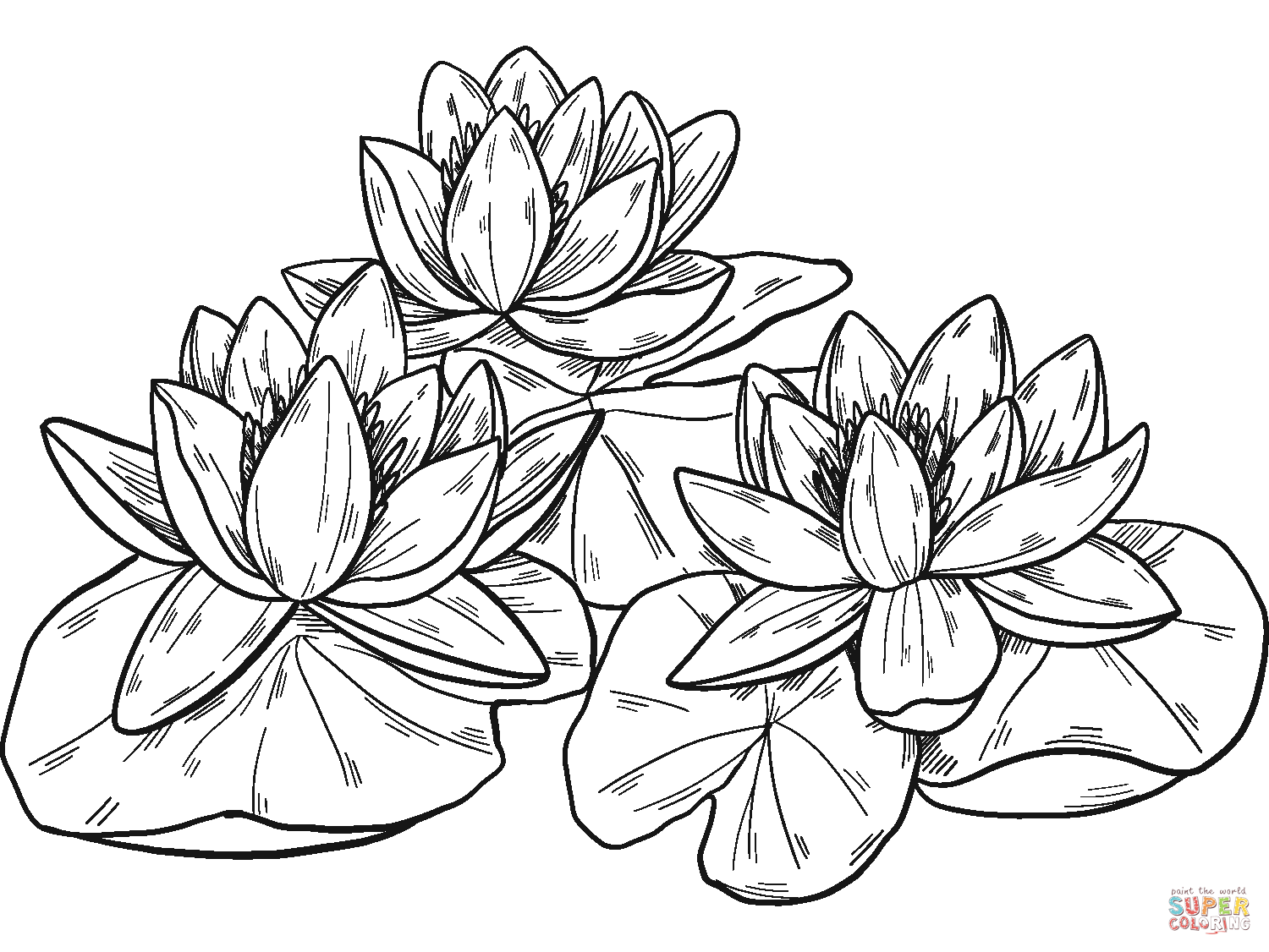 Water Lilies coloring page | Free Printable Coloring Pages