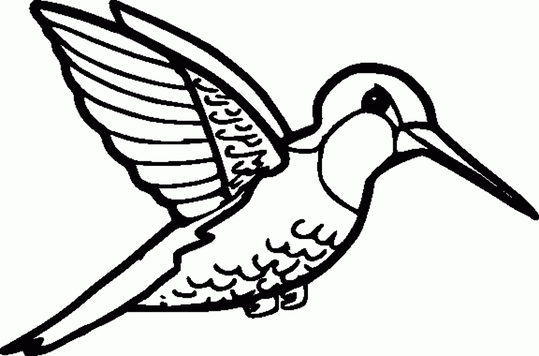 Printable Hummingbird Coloring Pages | Coloring Me