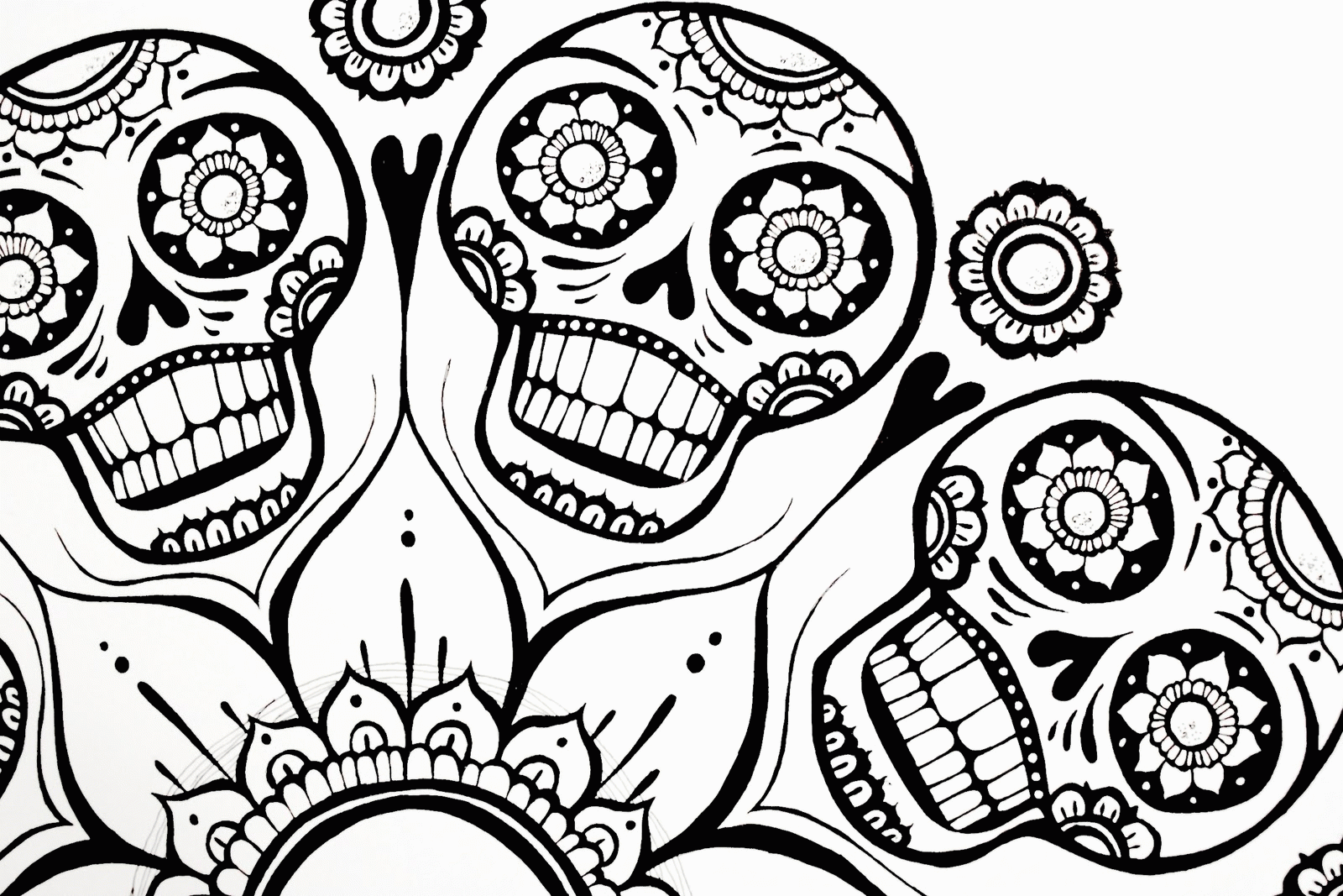 Sugar Skull Coloring Pages (16 Pictures) - Colorine.net | 22462