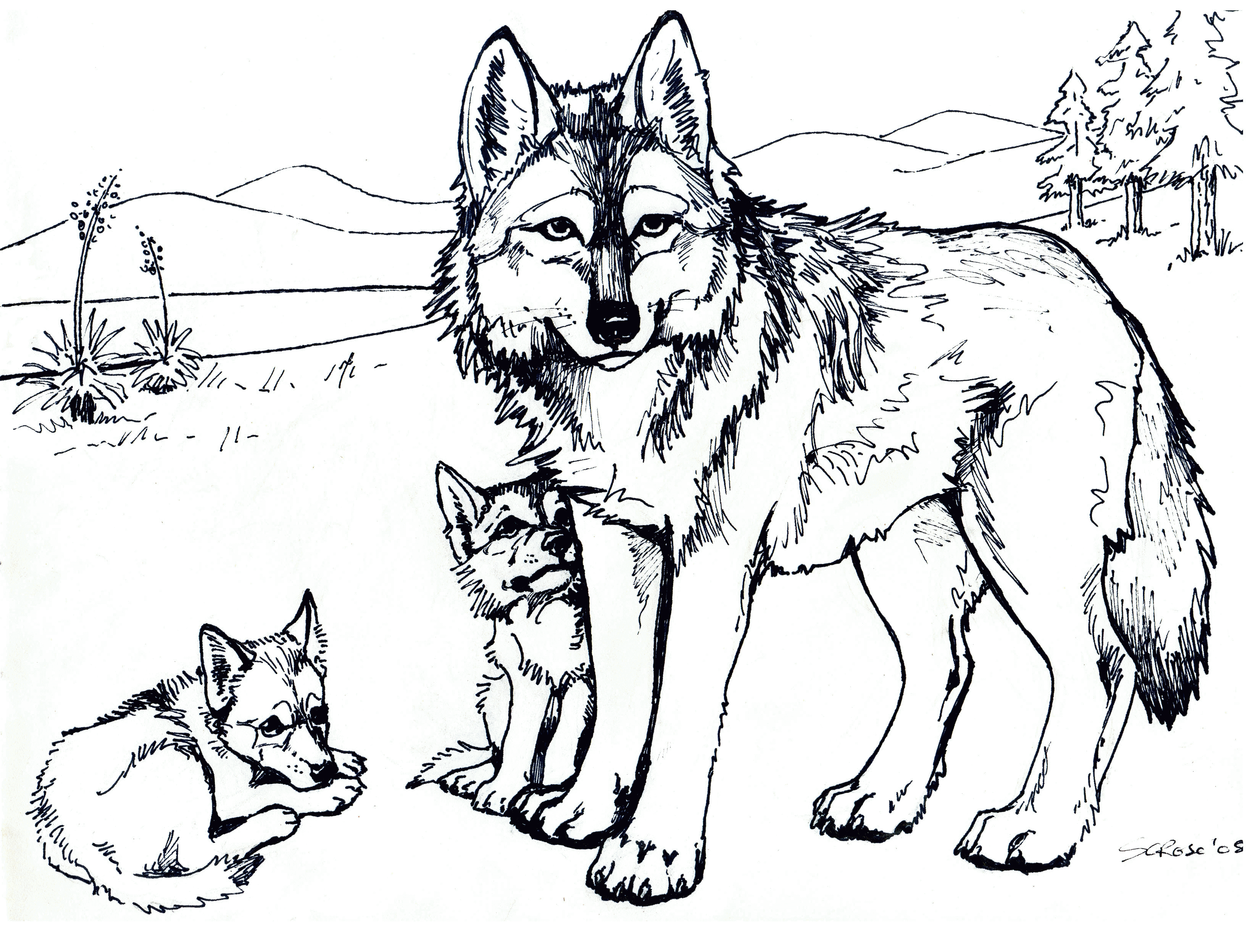 How To Make Wolf Coloring Pages Free Coloring Pages - Widetheme
