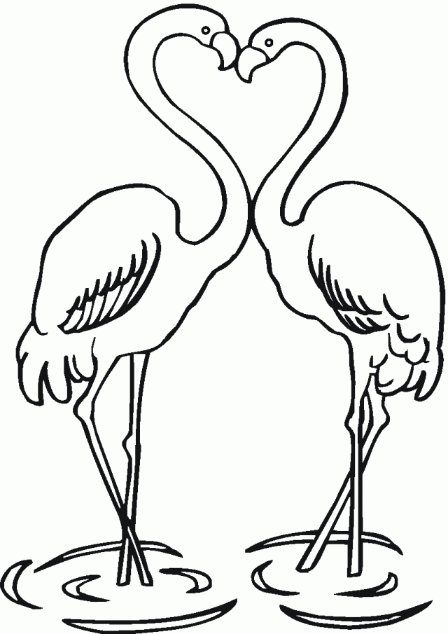 Download Flamingo Coloring Page Coloring Home