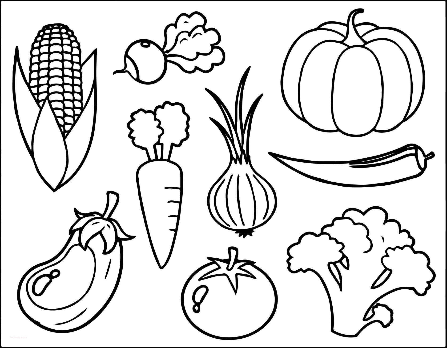 coloring pages : Coloring Book Pictures Of Vegetables Unique Pretty Of  Healthy Food Coloring Pages Coloring Book Pictures Of Vegetables ~ peak