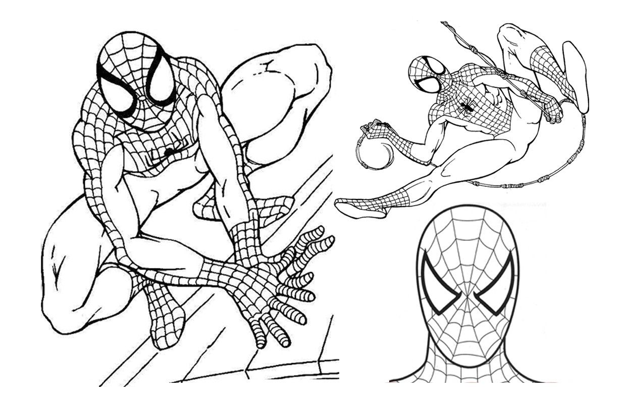 Spiderman Coloring Pages To Print (17 Pictures) - Colorine.net | 18293