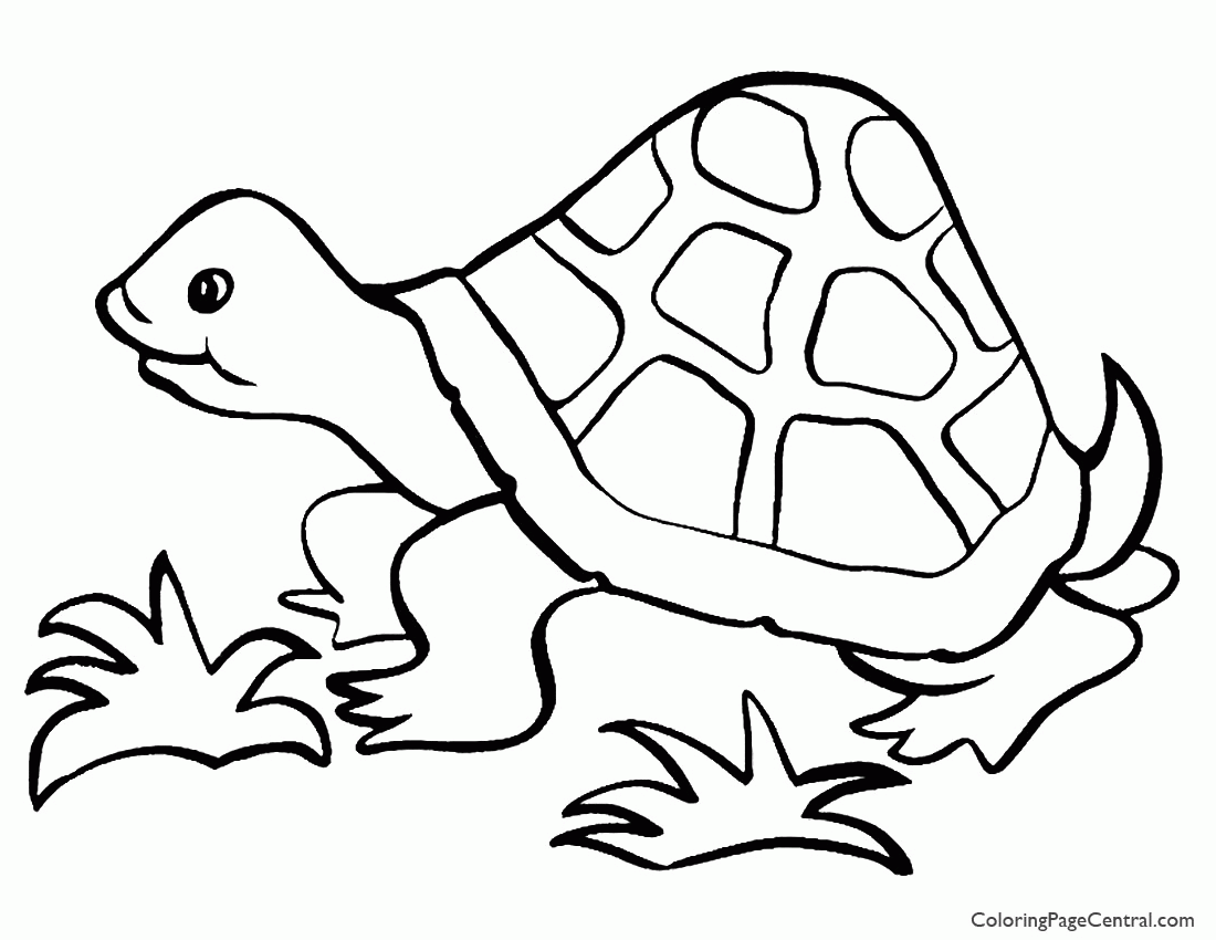 Tortoise 01 Coloring Page | Coloring Page Central