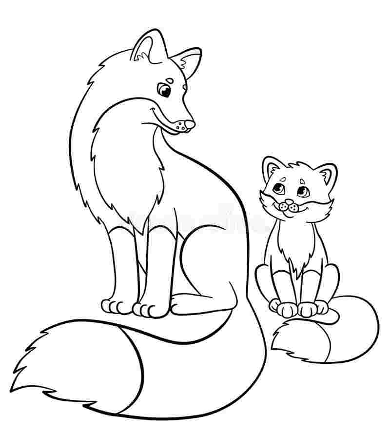 Fox Coloring Pages Picture - Whitesbelfast