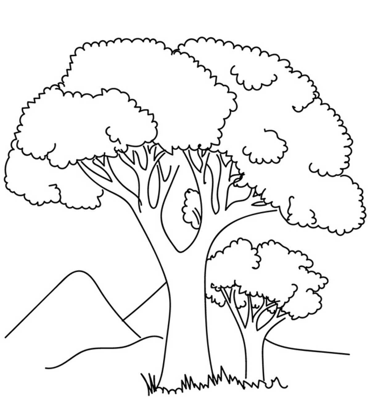 Fall Trees Coloring Pages - Coloring Home