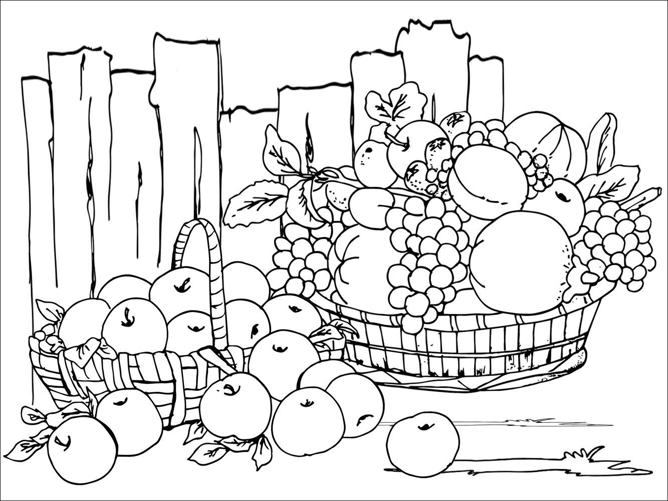 Harvest Festival Printable Colouring Sheet - Free Coloring Pages ...