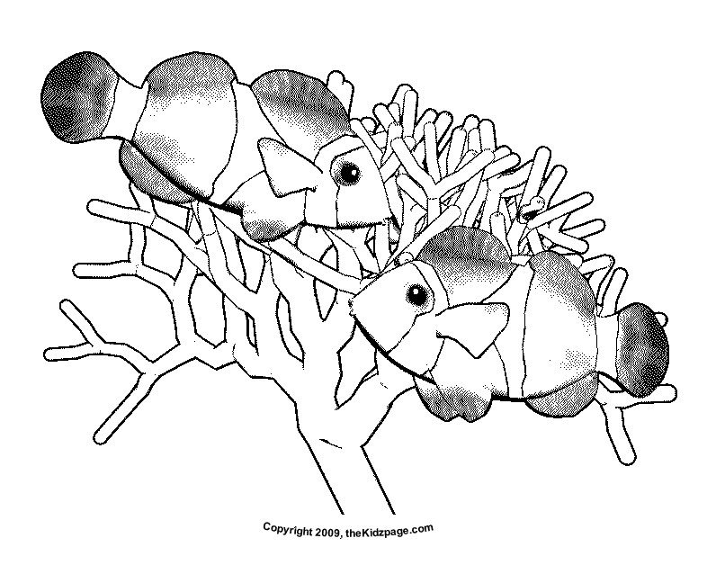 Clown Fish Free Coloring Pages for Kids - Printable Colouring Sheets