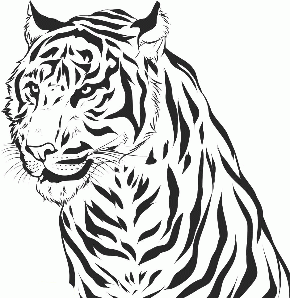 Tiger Printable Coloring Pages - Printable World Holiday