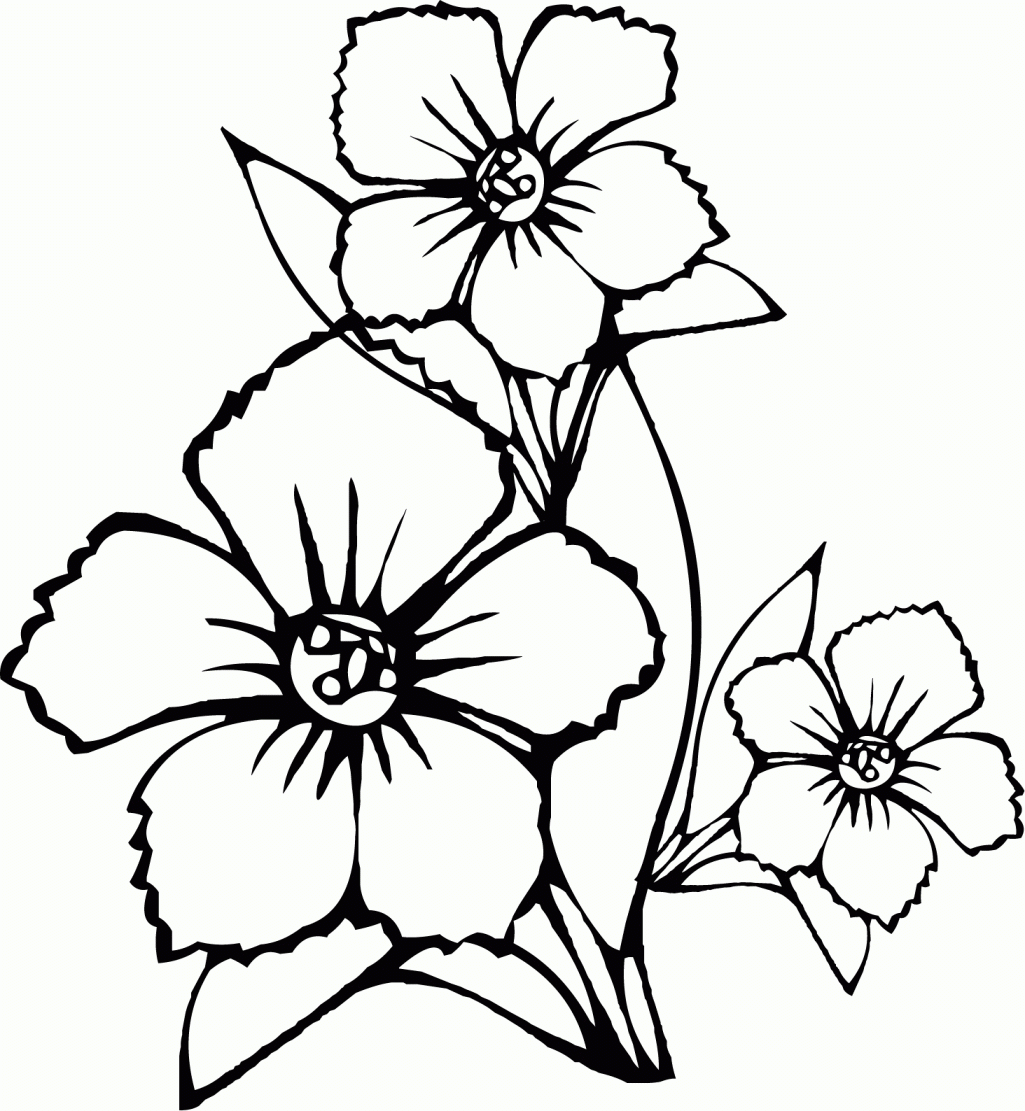 Flowers Coloring Pages For Adults Wwwazembrace Coloring Pages ...