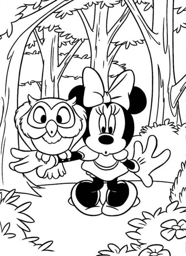 Minnie Mouse and an Owl in the Mickey Mouse Safari Coloring Pages ...