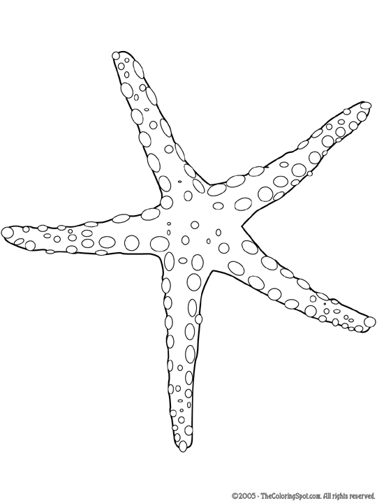 Sea Star Coloring Page | Audio Stories for Kids | Free Coloring Pages | Colouring  Printables