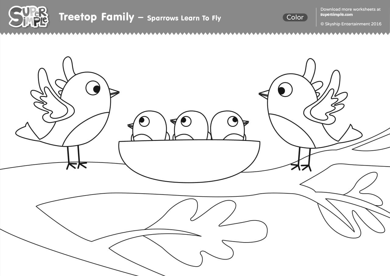 Treetop Family Coloring Pages - Sparrows Learn To Fly - Super Simple