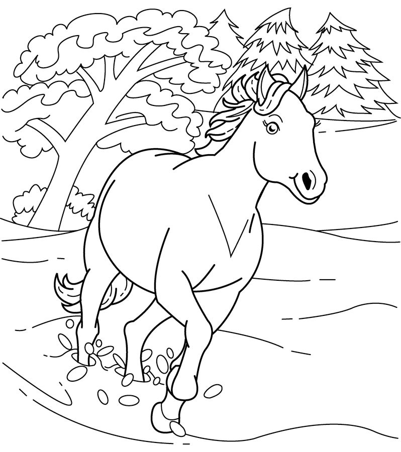 THE WIGGLES COLORING PAGES « ONLINE COLORING