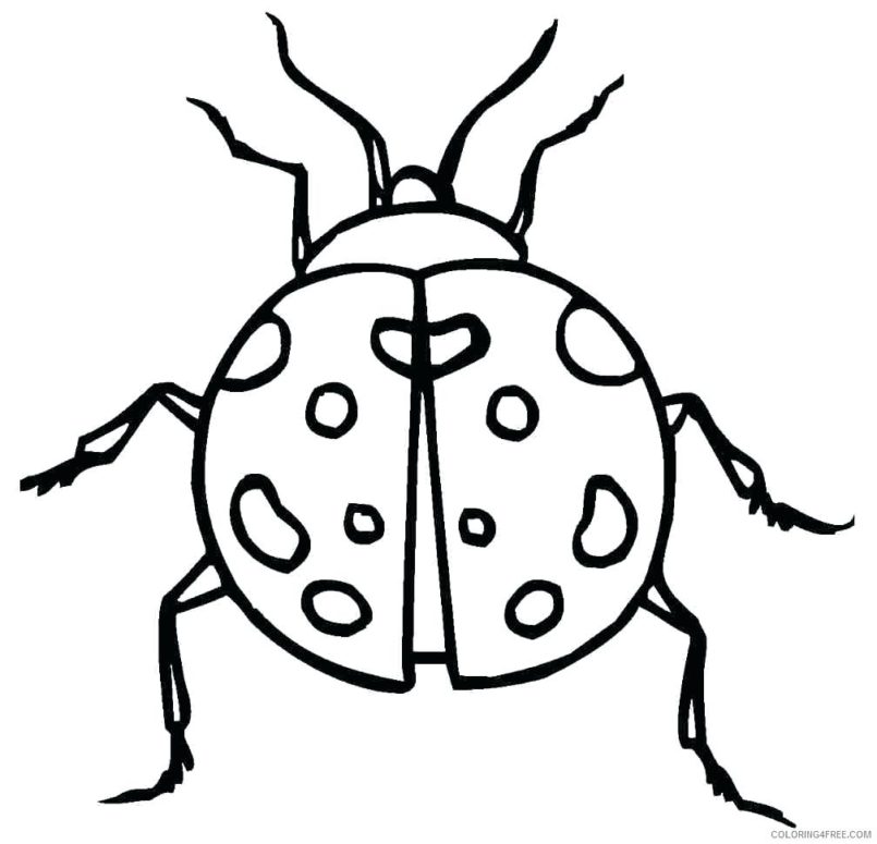 Ladybird Coloring Pages - Coloring Home