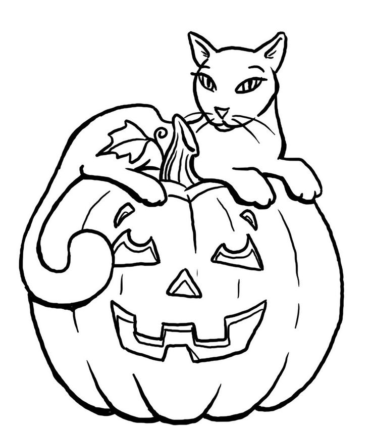 Halloween Cat Coloring Pages - Best Coloring Pages For Kids | Pumpkin coloring  pages, Cat coloring page, Halloween coloring