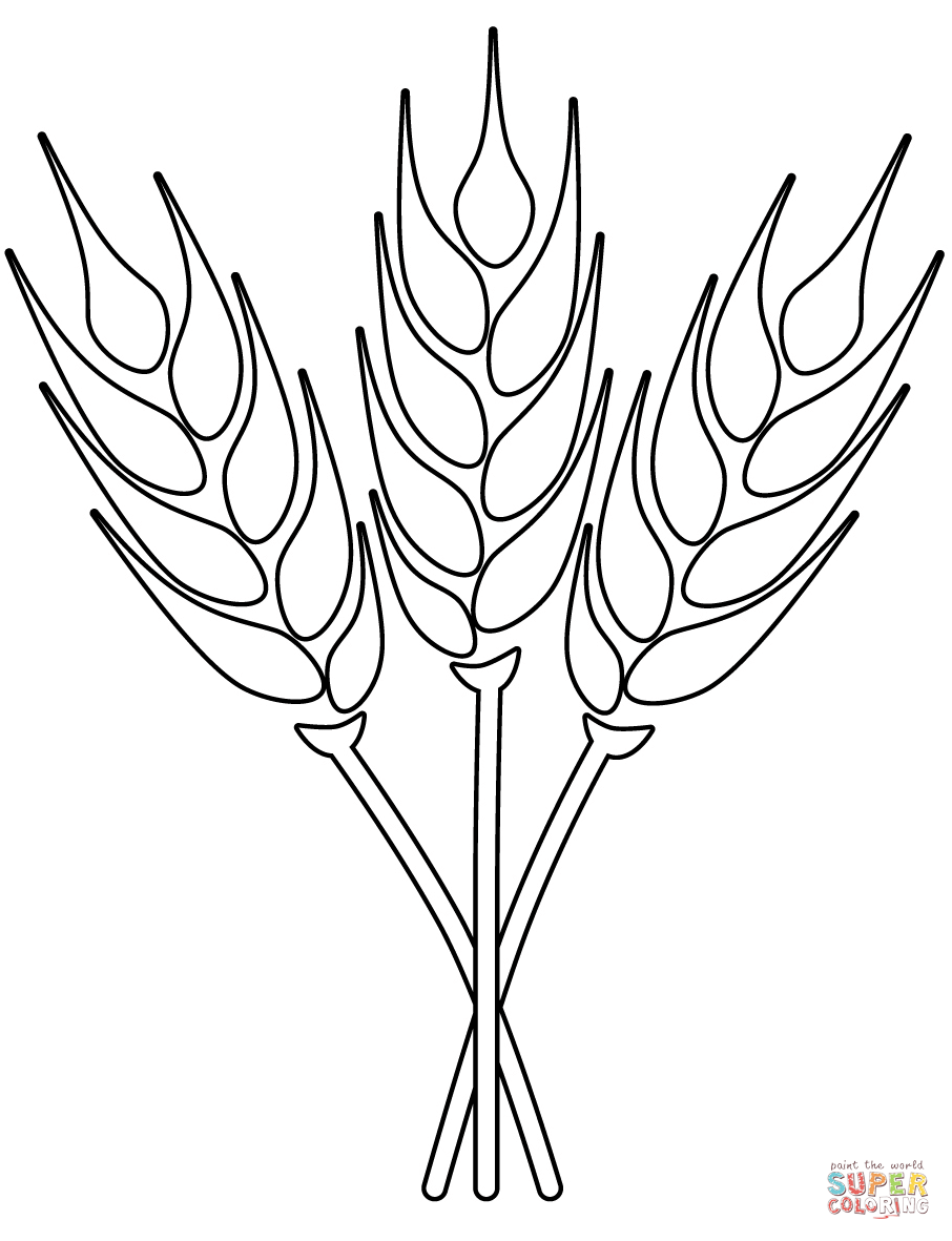 Wheat Coloring Page. Free Printable Coloring Page - Coloring Home