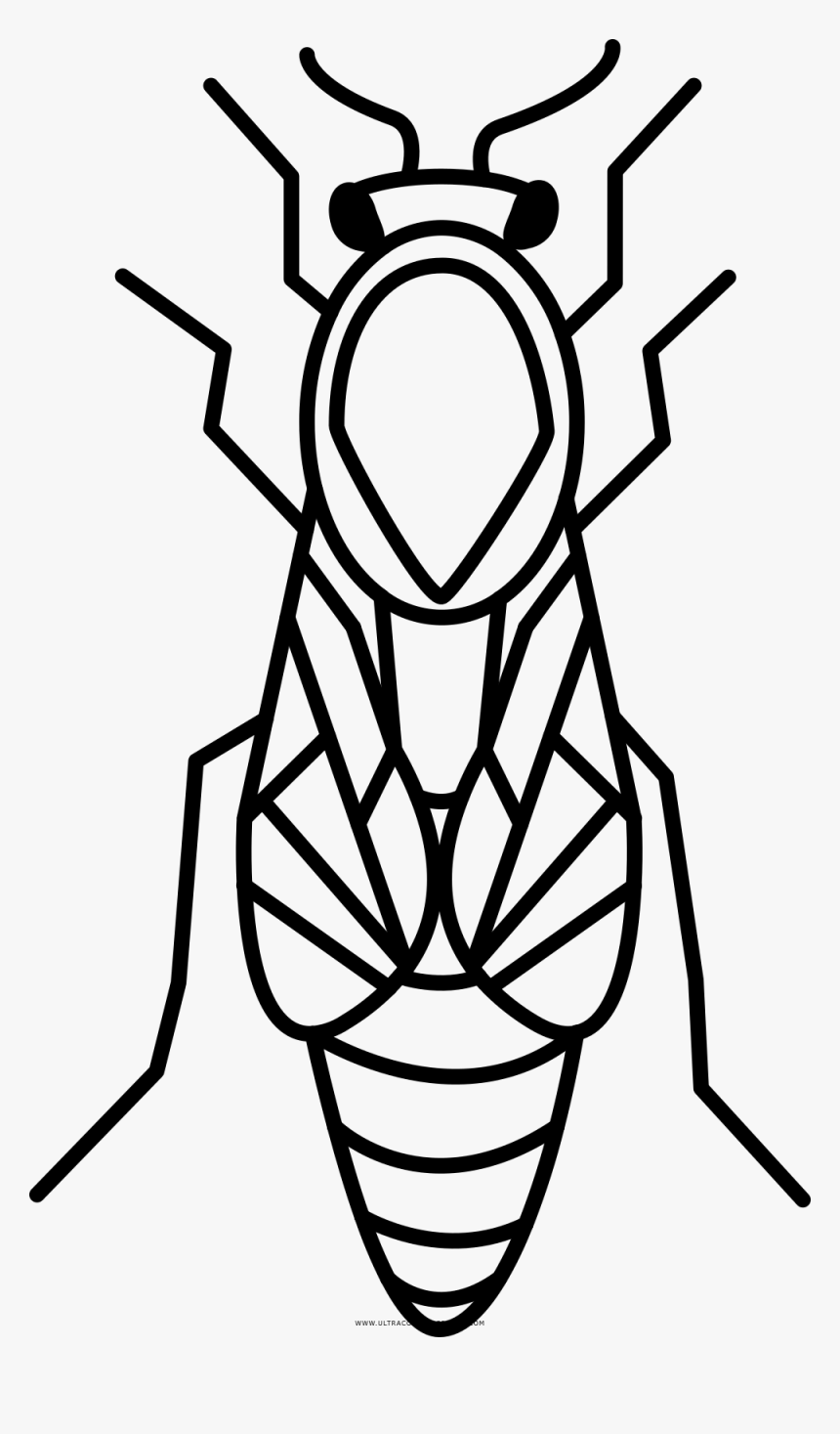 Queen Bee Coloring Page - Queen Bee Colouring Pages, HD Png Download ,  Transparent Png Image - PNGitem