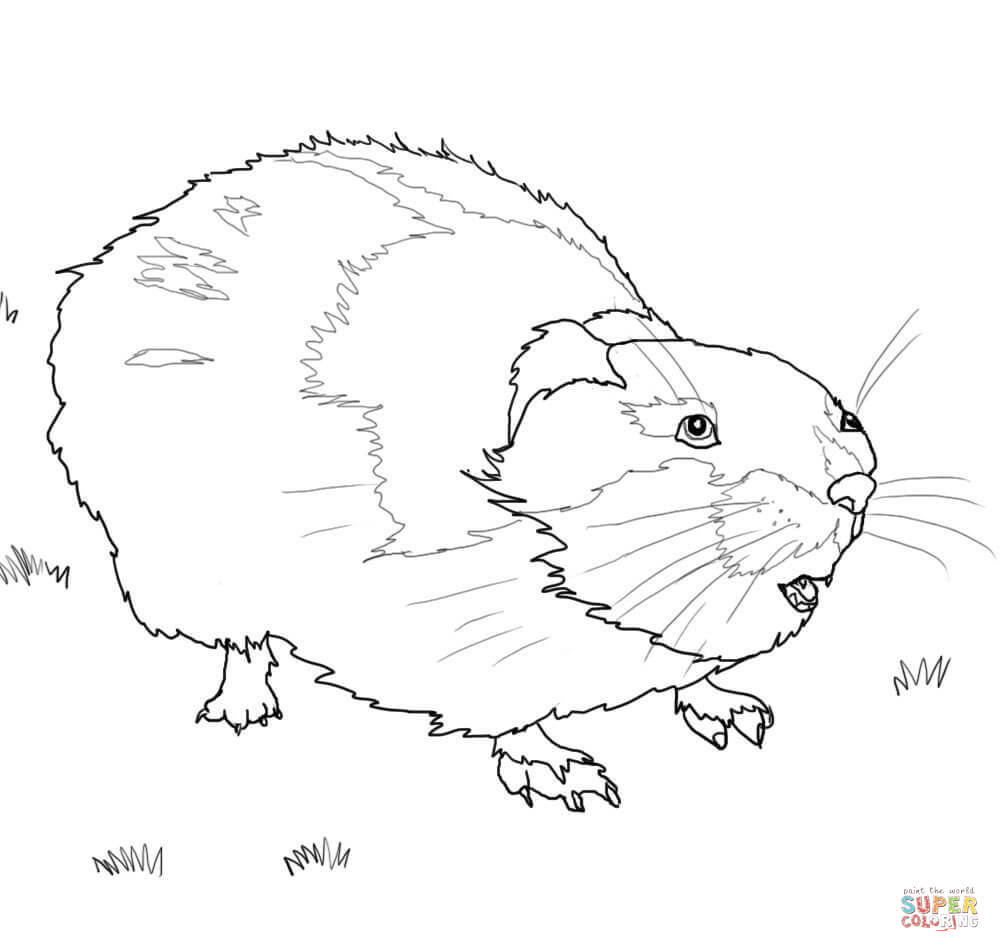 Lemming coloring pages | Free Coloring Pages
