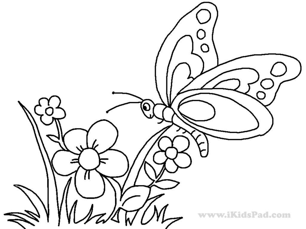 Download Butterfly On A Flower Coloring Page - Coloring Home