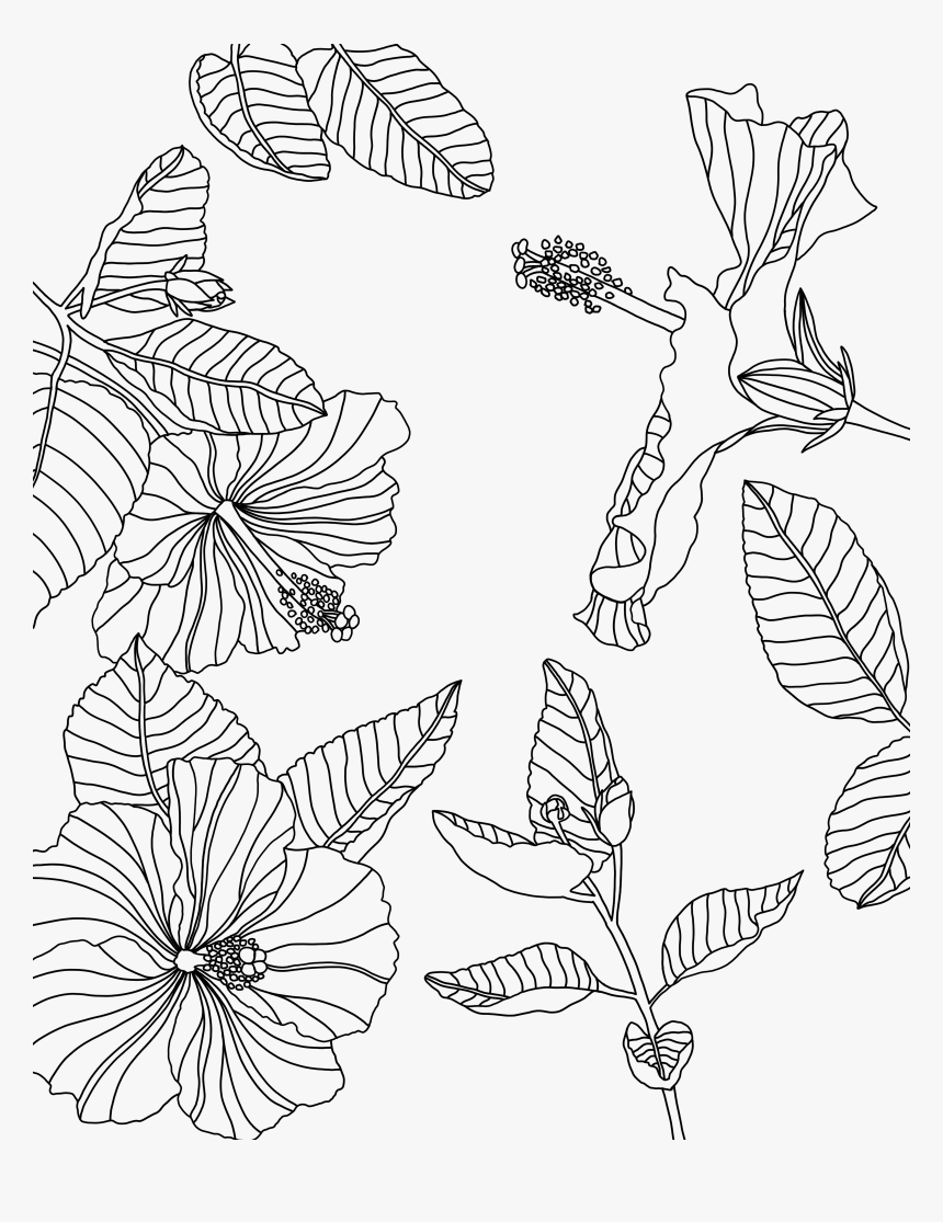 Transparent Tumblr Png Coloring Pages - Coloring Page Procreate ...